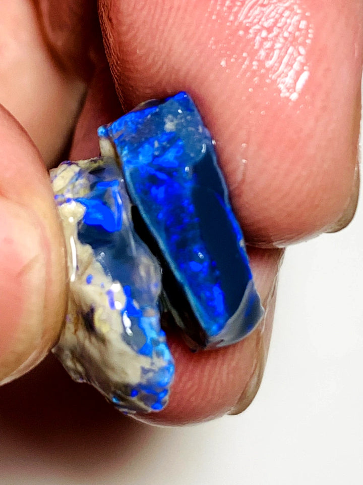 OPAL MONTH SPECIAL Lightning Ridge Rough Pair Gem Blacks opal 12cts Gorgeous Bright Royal Blues 17x14x4mm & 15x9x5mm WSZ54