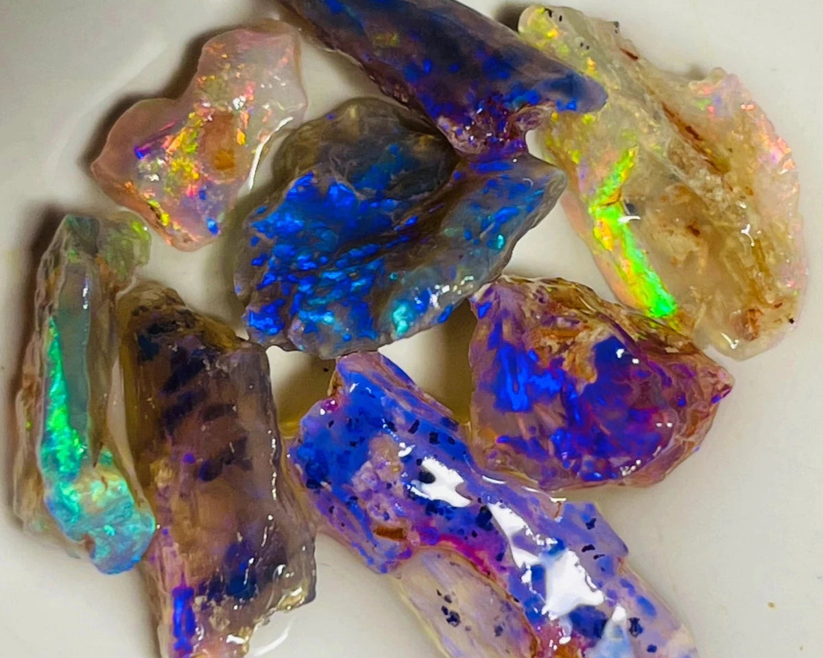 Coocoran field Opal Rough nice Opalised Wood Fossil parcel 27cts Bright & gorgeous multi colours 20x8x4mm to 10x5x2mm NSW010