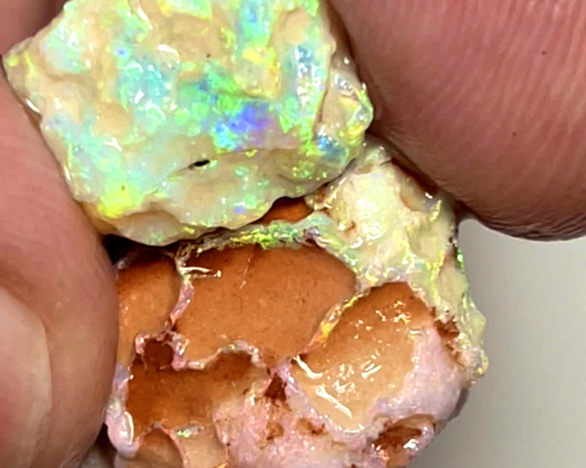 Lightning Ridge 18cts Nice pair of Dark base Crystal Opal formations rough to cut/carve or Collect Gorgeous Bright Multicolours  18x15x8mm & 14x11x4mm 1004