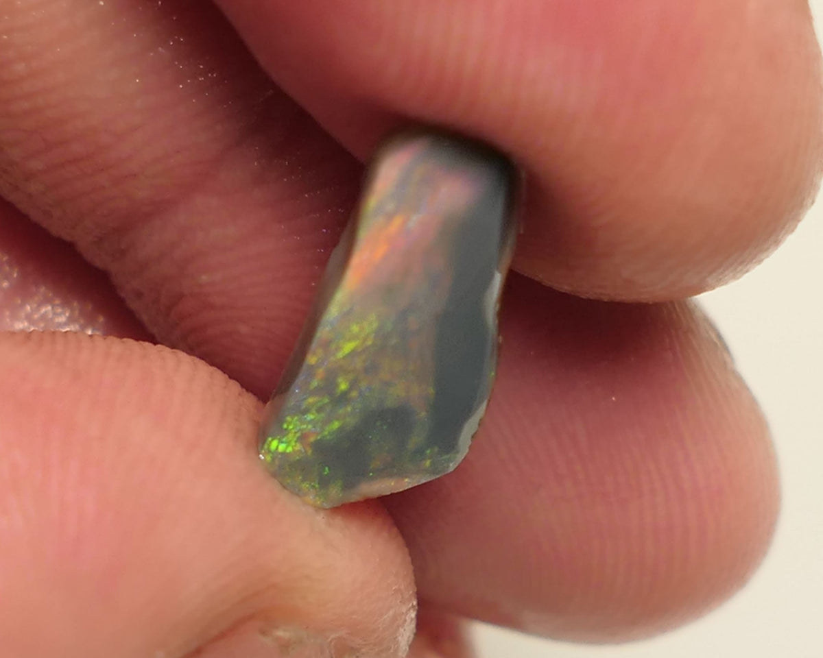 Lightning Ridge Opal Miners Bench®  Dark Base Seam Rough Rub 2.3cts Reds & Multifires to face 15x5x3mm 5APR