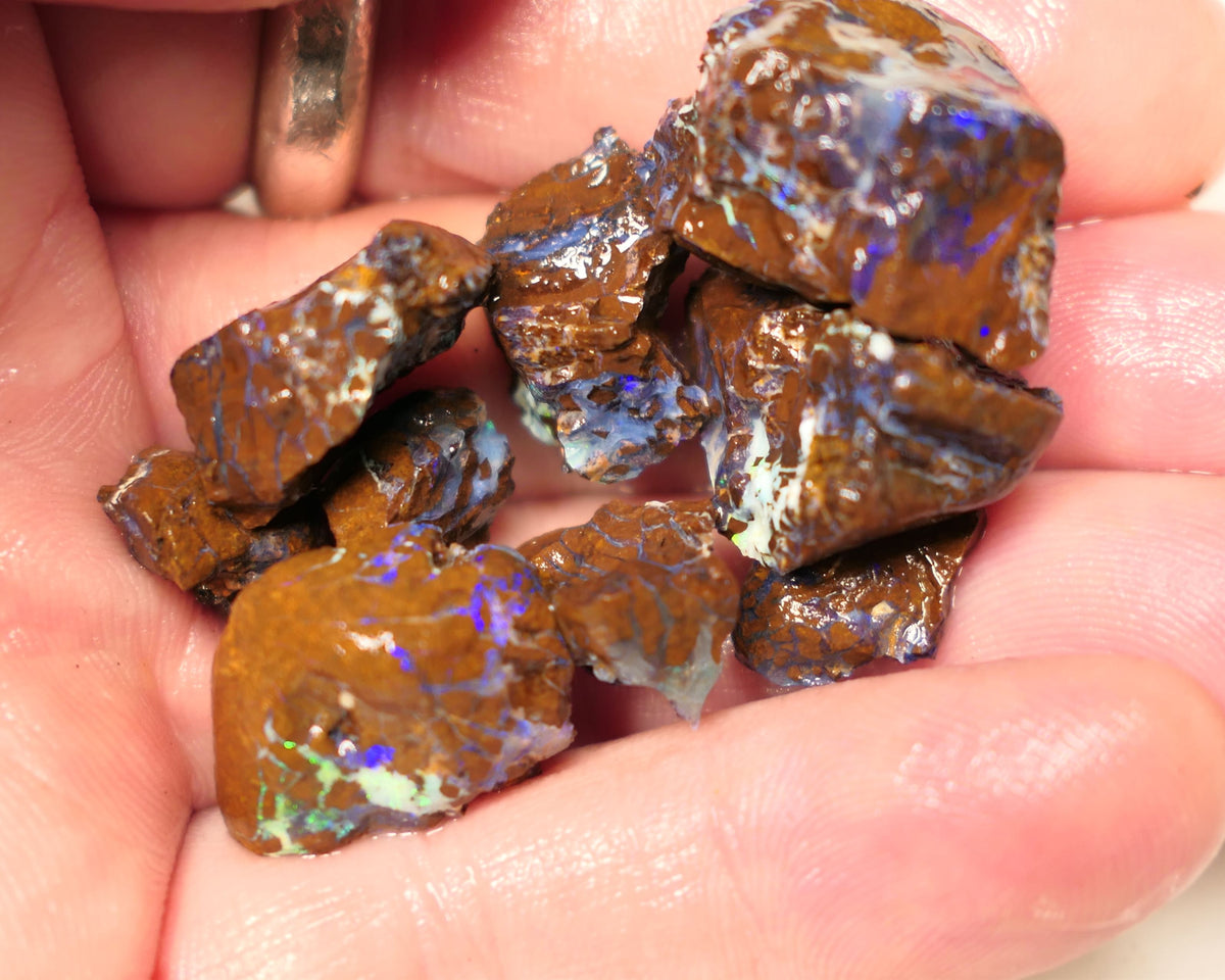 Queensland Boulder Matrix opal 140cts rough Parcel Koroit  Lots nice Blue fires 20x15x12mm to 10x7x5mm 0422