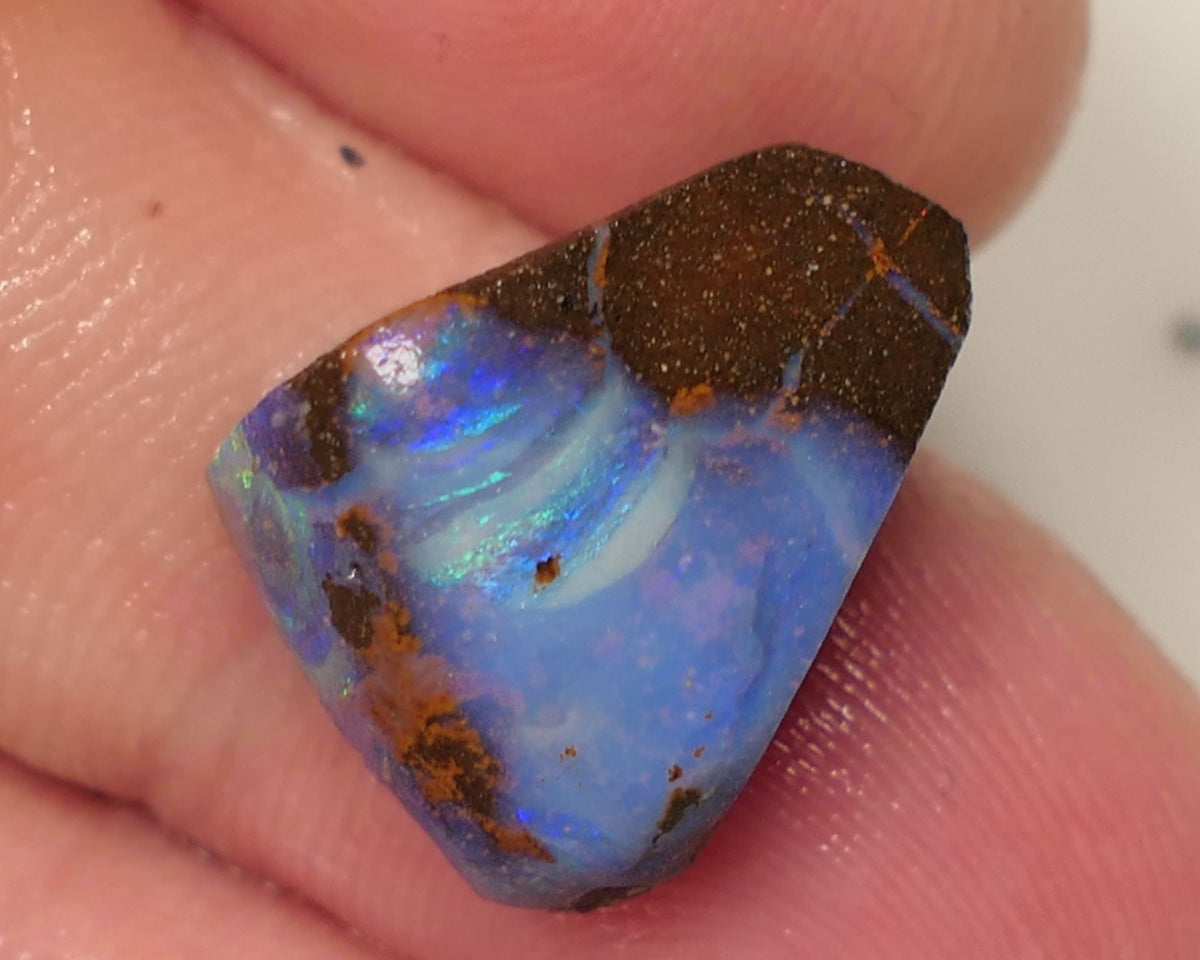 Queensland Boulder Matrix opal 12cts rough / Rub Winton Bright Multifires 15x12x7mm 0423