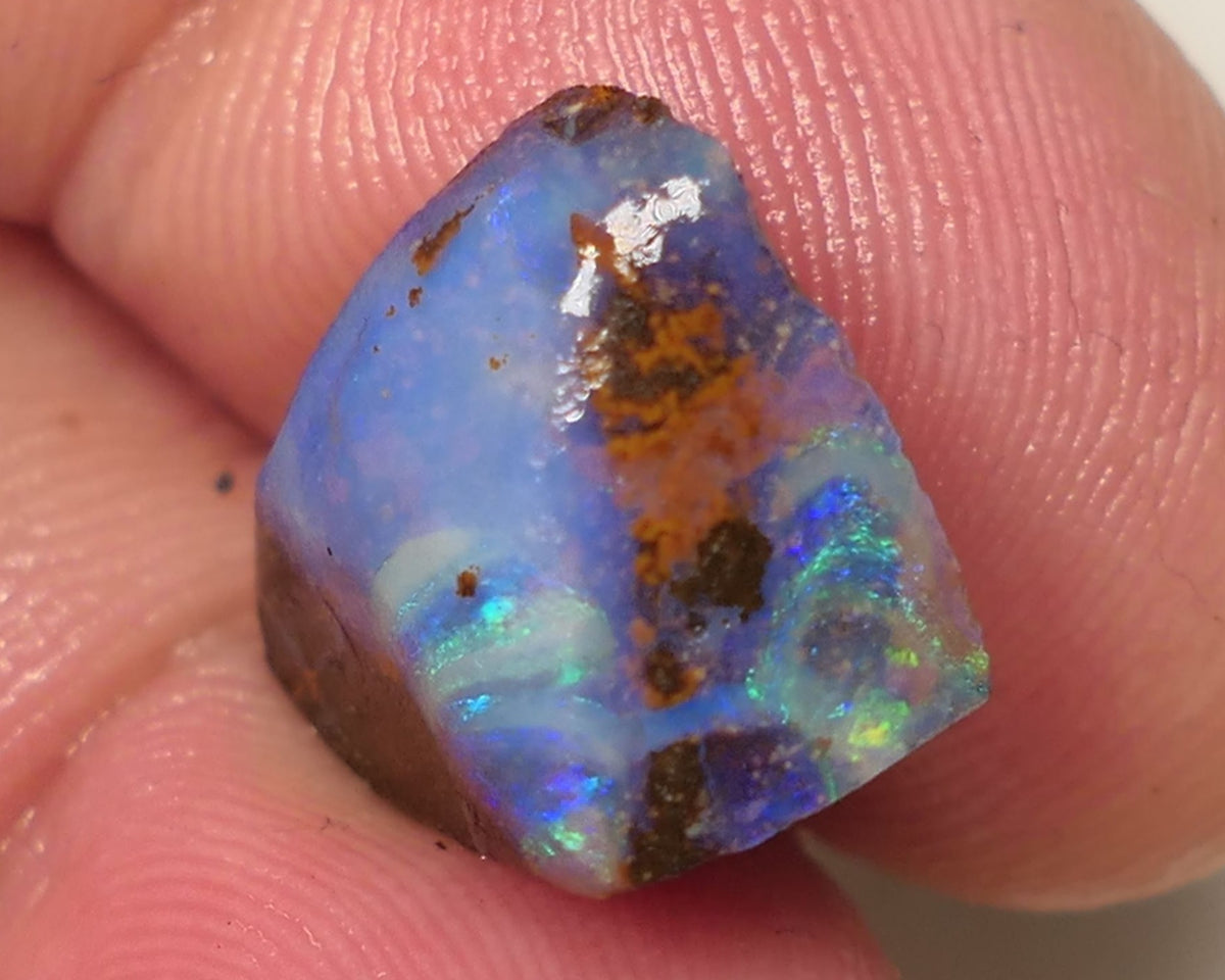 Queensland Boulder Matrix opal 12cts rough / Rub Winton Bright Multifires 15x12x7mm 0423