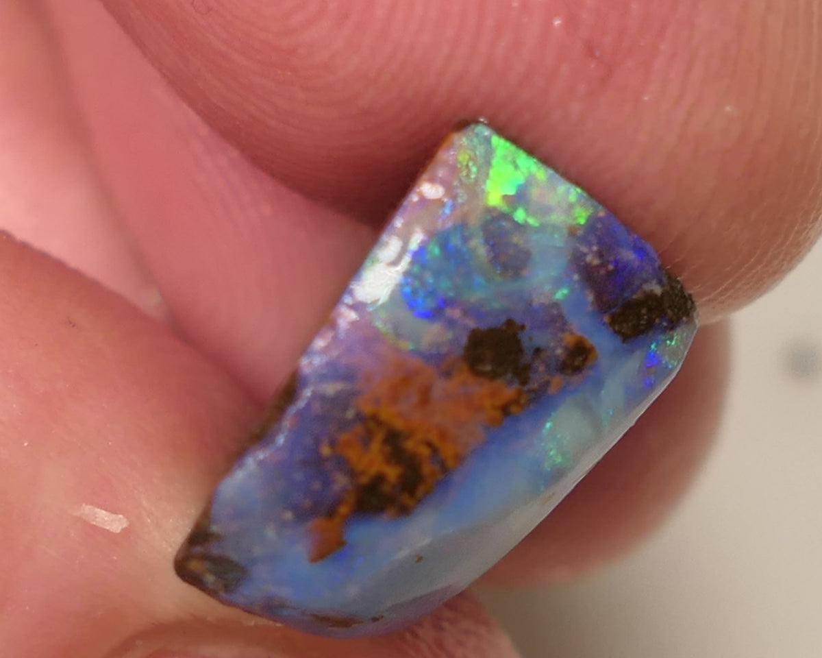 Queensland Boulder Matrix opal 12cts rough / Rub Winton Bright Multifires 15x12x7mm 0423