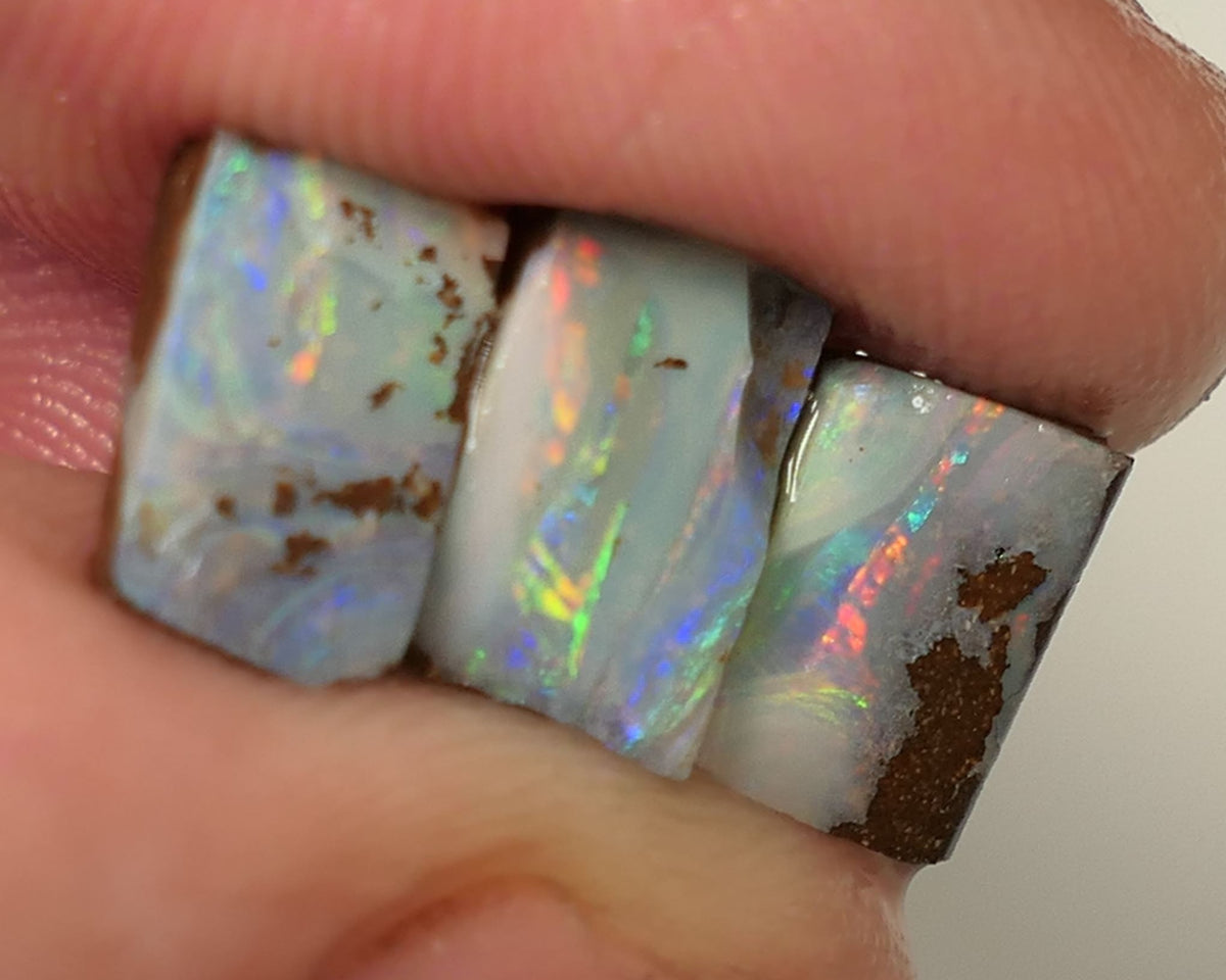 Queensland Boulder opal 6.6cts rough / Rub / preforms Winton Bright Gem Reds & Multifires 10x6x3mm to 9x6x2.5mm WAC71