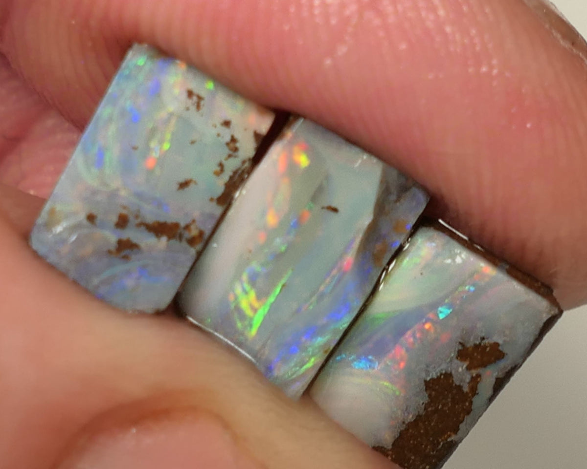 Queensland Boulder opal 6.6cts rough / Rub / preforms Winton Bright Gem Reds & Multifires 10x6x3mm to 9x6x2.5mm WAC71