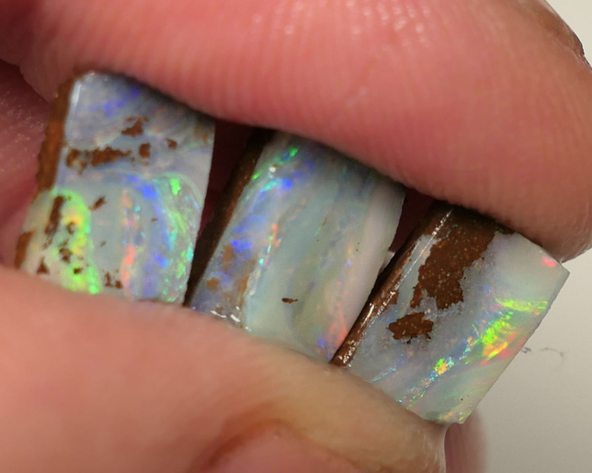 Queensland Boulder opal 6.6cts rough / Rub / preforms Winton Bright Gem Reds & Multifires 10x6x3mm to 9x6x2.5mm WAC71