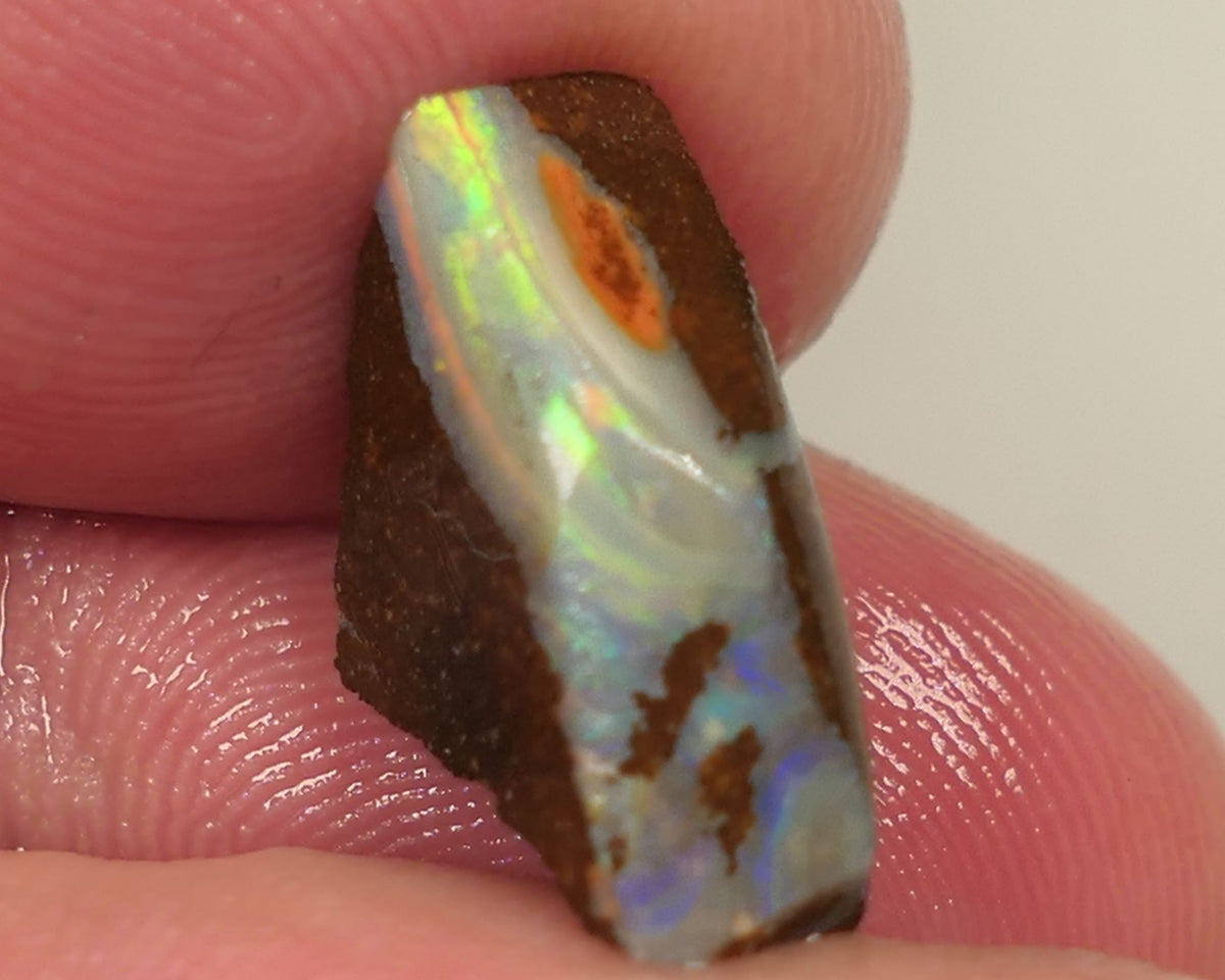 Queensland Boulder opal 7.5cts rough Gorgeous Winton Material Gorgeous Yellow dominant fires with flashes of oranges & blues 16x11x5mm 0439