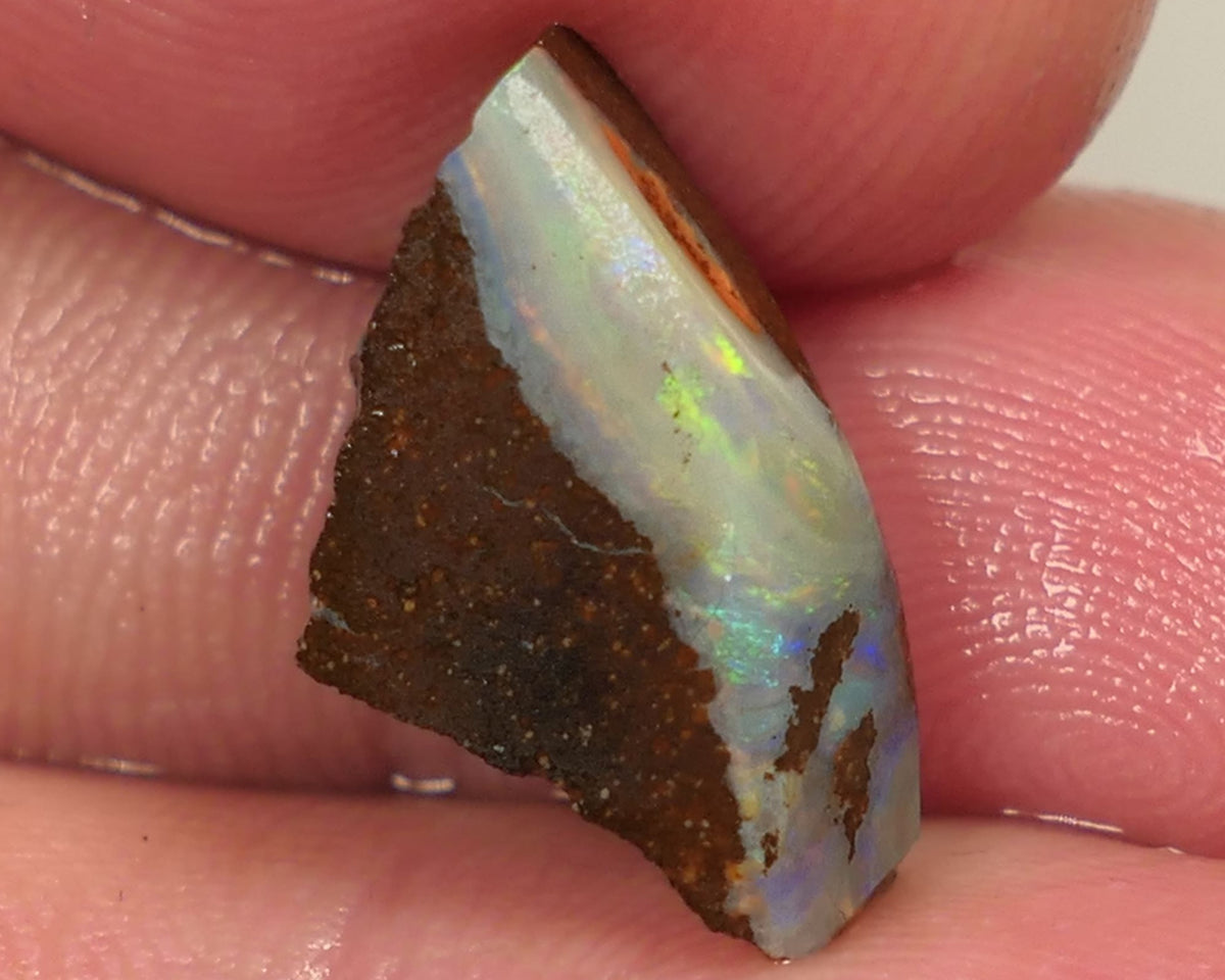 Queensland Boulder opal 7.5cts rough Gorgeous Winton Material Gorgeous Yellow dominant fires with flashes of oranges & blues 16x11x5mm 0439