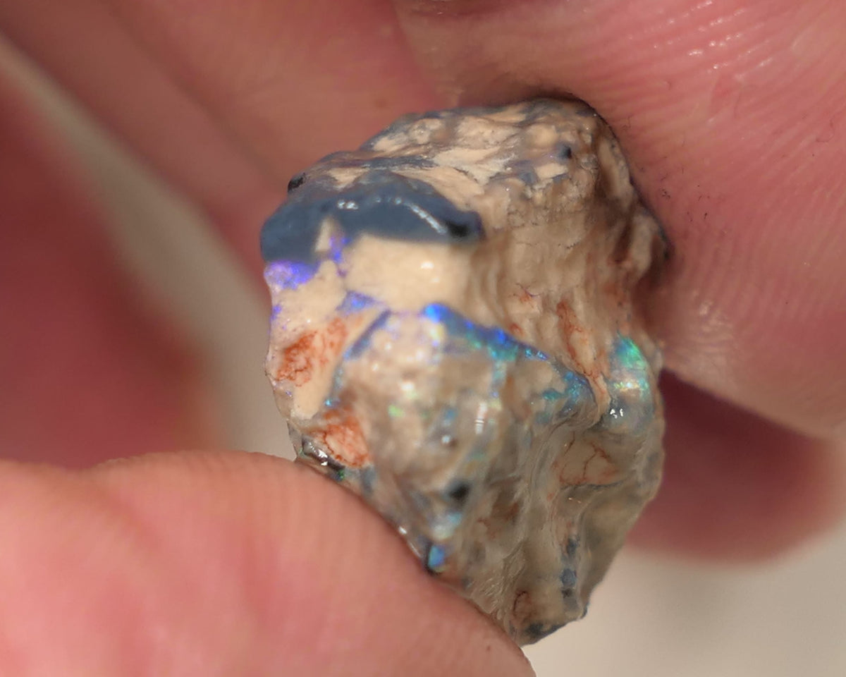 Lightning Ridge Rough Opal Single 14.5cts Gamble Dark Crystal Base Knobby Showing Blue bars 18x18x8mm 0507