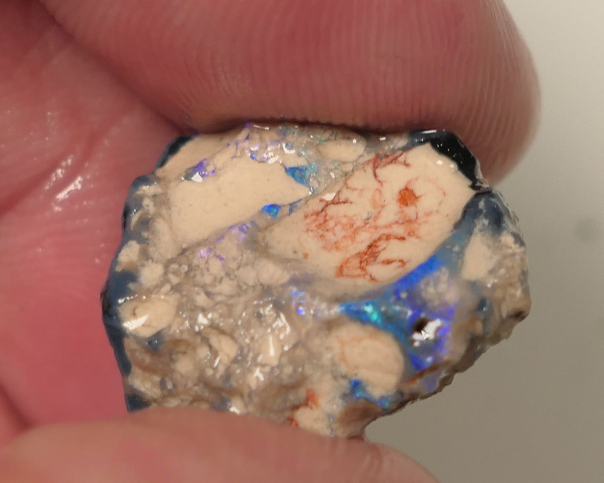 Lightning Ridge Rough Opal Single 14.5cts Gamble Dark Crystal Base Knobby Showing Blue bars 18x18x8mm 0507