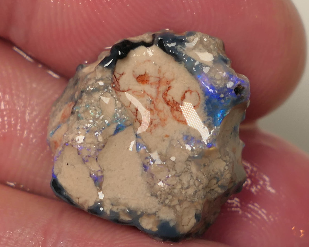 Lightning Ridge Rough Opal Single 14.5cts Gamble Dark Crystal Base Knobby Showing Blue bars 18x18x8mm 0507