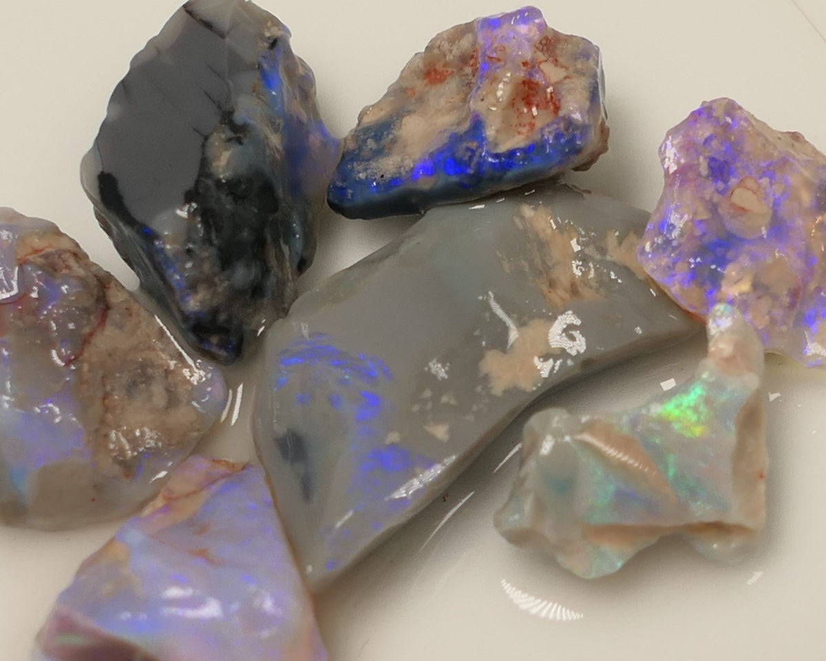 Lightning Ridge Rough Opal 36cts Gamble Dark Base Knobby,  Fossil &n Seam Showing Mostly Blue Colours 22x10x5mm & 10x8x3mm 0516