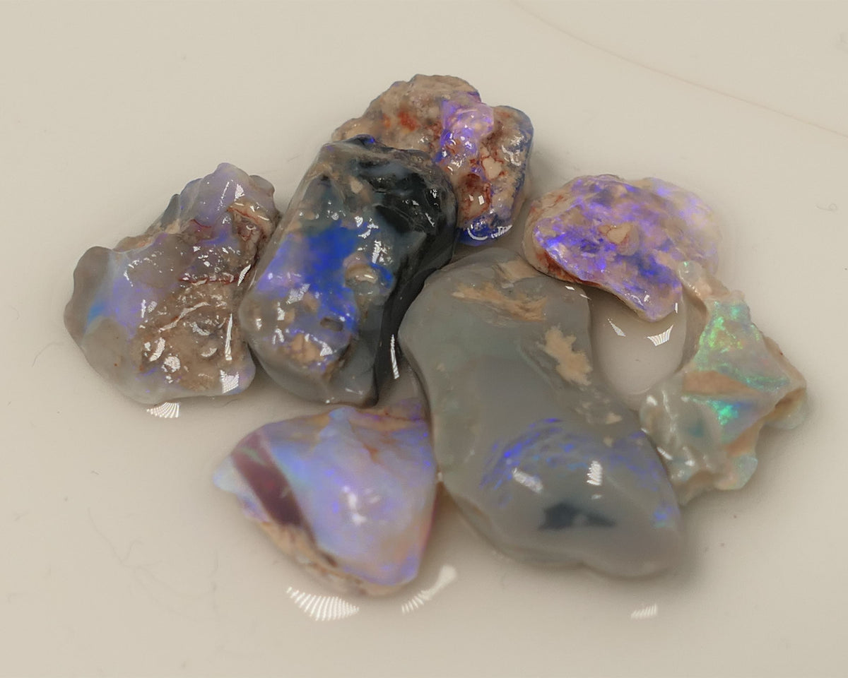 Lightning Ridge Rough Opal 36cts Gamble Dark Base Knobby,  Fossil &n Seam Showing Mostly Blue Colours 22x10x5mm & 10x8x3mm 0516