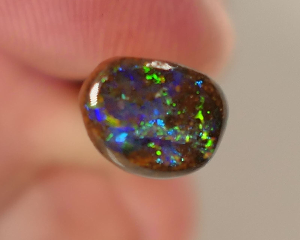 Queensland Boulder GEM Boulder opal 1.3cts rough / Rub / Preform Winton Amazing Super Bright Electric Vibrant & Vivid Multifires 10x6x2mm 0523