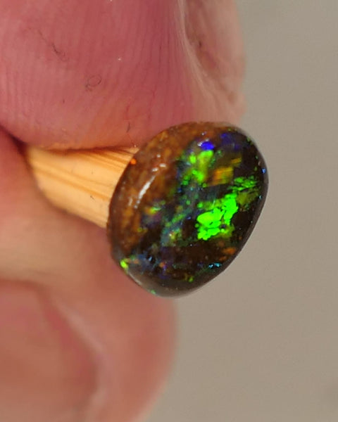 Queensland Boulder GEM Boulder opal 1.3cts rough / Rub / Preform Winton Amazing Super Bright Electric Vibrant & Vivid Multifires 10x6x2mm 0523