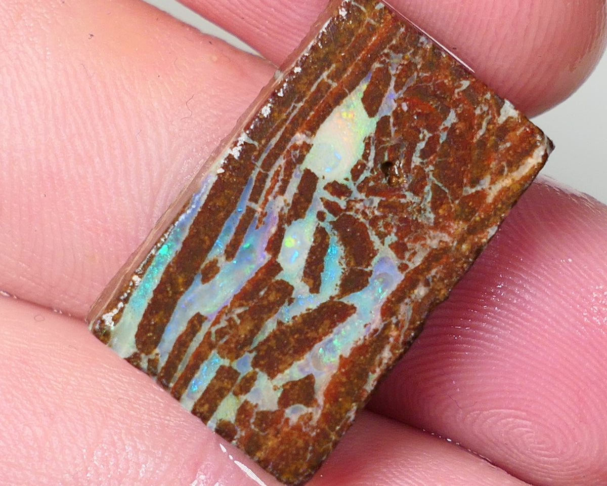 Queensland Boulder Matrix opal 20cts rough / slice Koroit Blues fires in the veins 25x13x5mm 0536