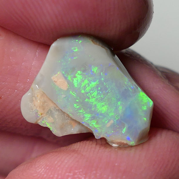 Lightning Ridge Opal Dark Base Seam Rough Rub 4.75cts Gorgeous Display of Bright Multifires 15x11x3mm 0541