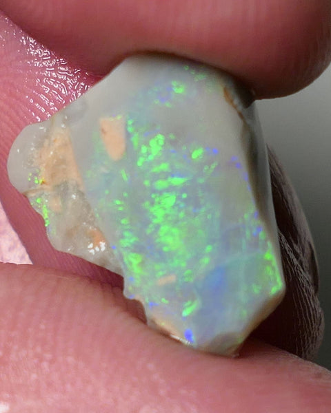 Lightning Ridge Opal Dark Base Seam Rough Rub 4.75cts Gorgeous Display of Bright Multifires 15x11x3mm 0541