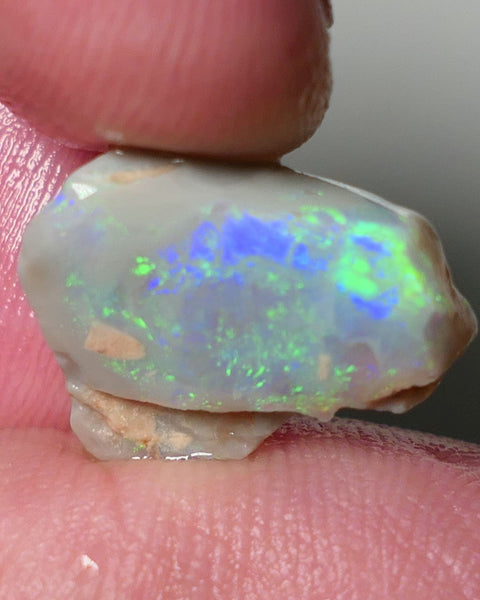 Lightning Ridge Opal Dark Base Seam Rough Rub 4.75cts Gorgeous Display of Bright Multifires 15x11x3mm 0541