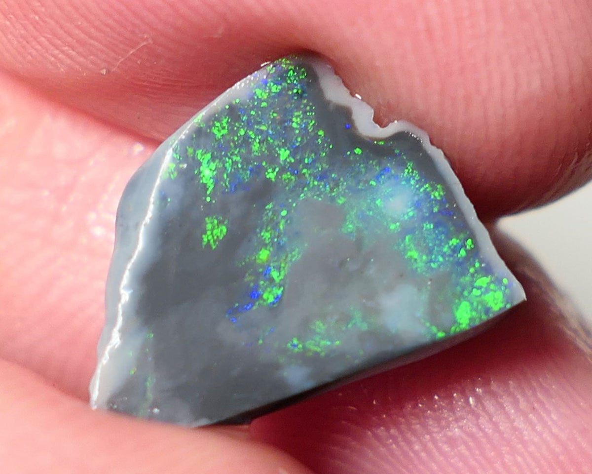 Lightning Ridge Opal Dark Base Seam Rough Rub 2.4cts Stunning Display of Bright Multifires 19x11x2mm 0549