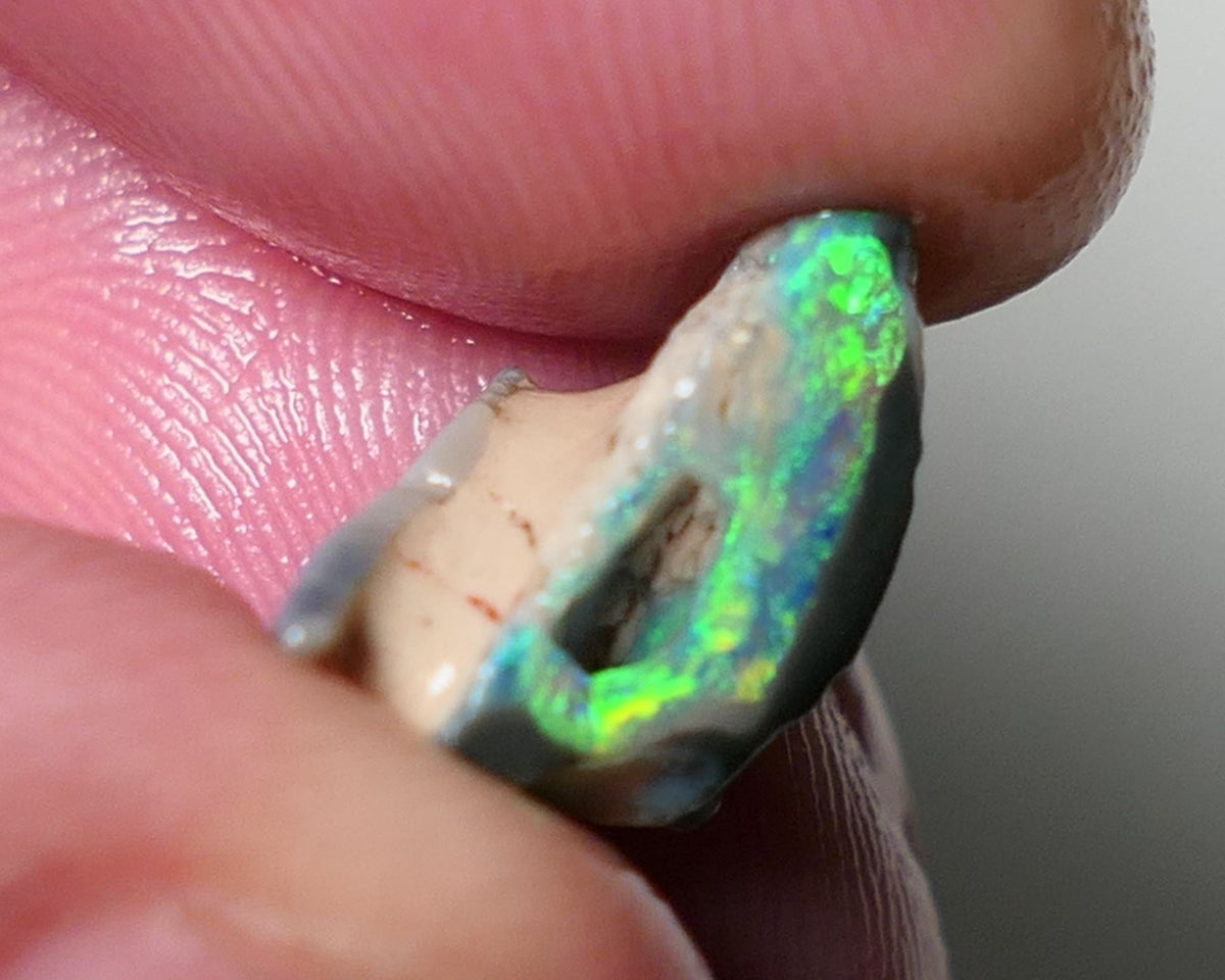 Lightning Ridge Rough Opal 4.75cts Gorgeous Bright & Vivid Gamble Dark Crystal Seam rough Amazing Super Bright multicolours 13x11x8mm 0548