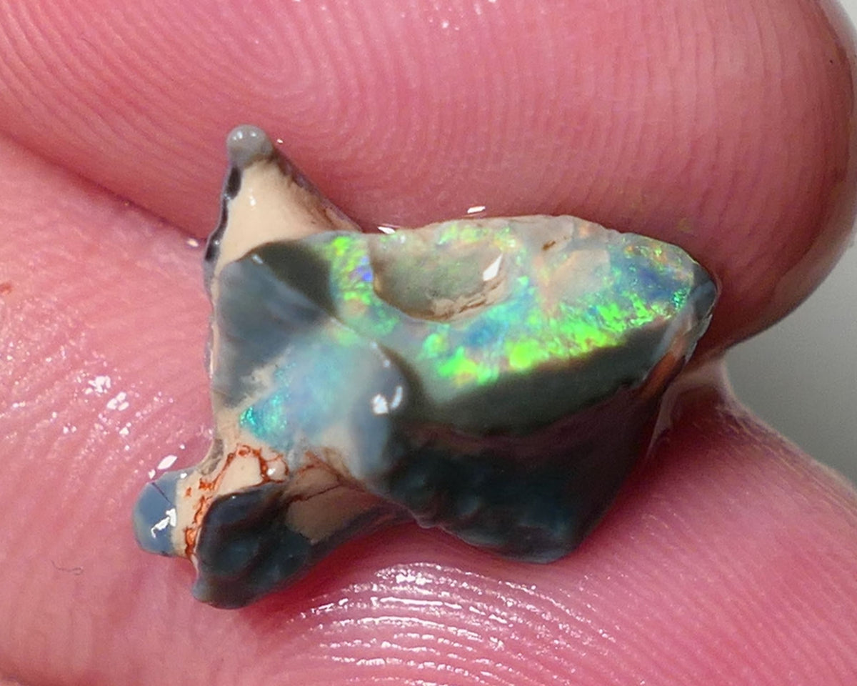 Lightning Ridge Rough Opal 4.75cts Gorgeous Bright & Vivid Gamble Dark Crystal Seam rough Amazing Super Bright multicolours 13x11x8mm 0548