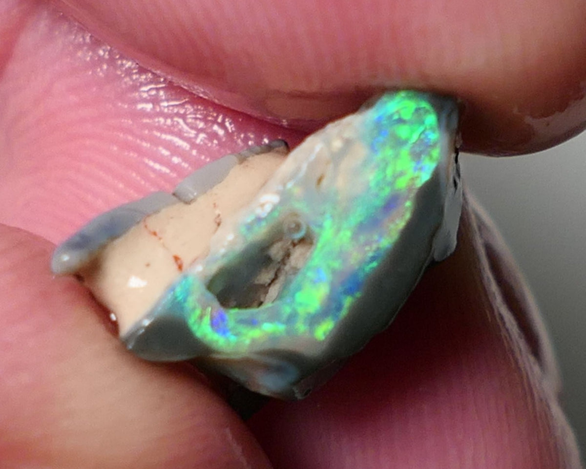 Lightning Ridge Rough Opal 4.75cts Gorgeous Bright & Vivid Gamble Dark Crystal Seam rough Amazing Super Bright multicolours 13x11x8mm 0548