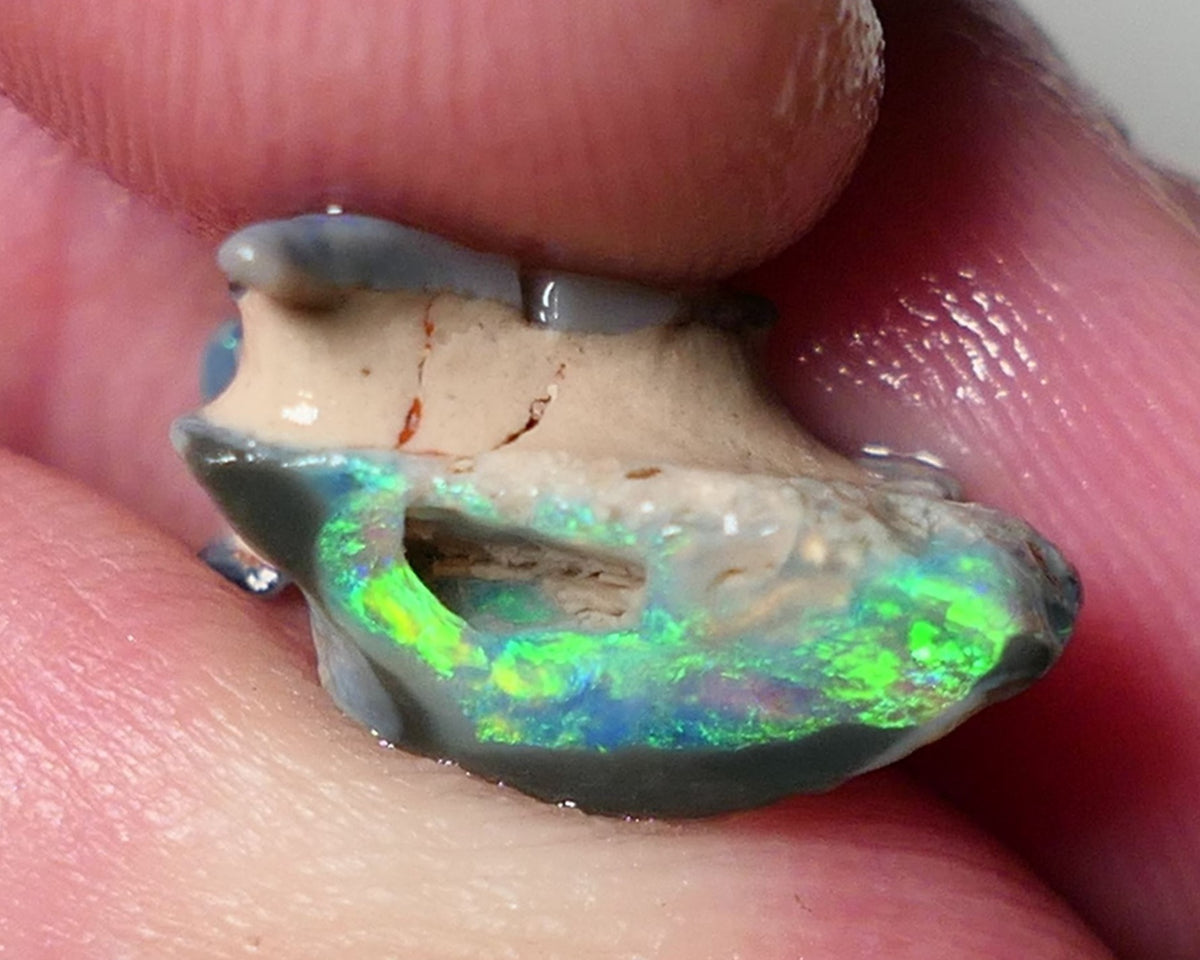 Lightning Ridge Rough Opal 4.75cts Gorgeous Bright & Vivid Gamble Dark Crystal Seam rough Amazing Super Bright multicolours 13x11x8mm 0548