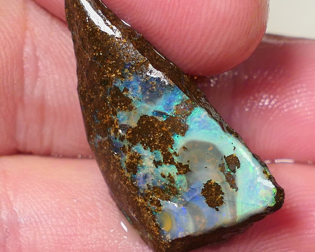 Queensland Boulder opal 19cts rough / rub Koroit Faced with Blue Yellow & Green fires 30x15x7mm 0603