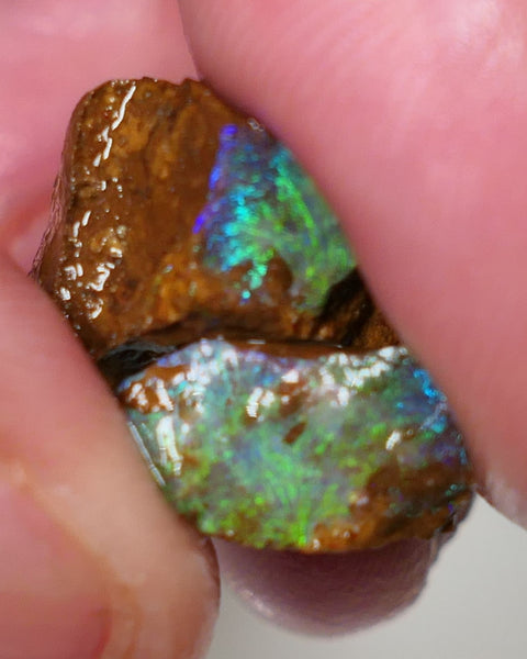 Queensland Boulder Boulder opal 15.5cts rough / Split Winton Green dominant Multifires 20x14x10mm & 11x7x6mm 0628