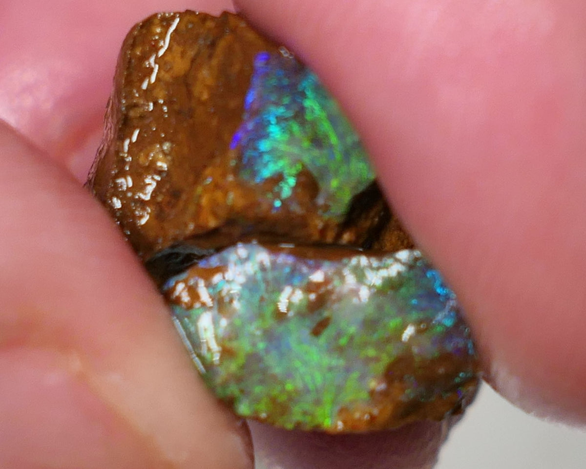 Queensland Boulder Boulder opal 15.5cts rough / Split Winton Green dominant Multifires 20x14x10mm & 11x7x6mm 0628