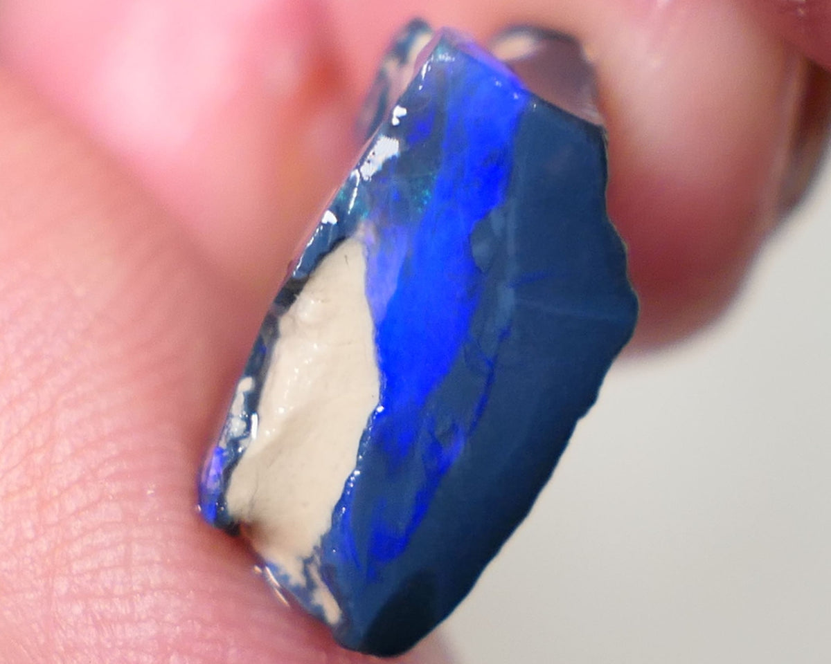 Lightning Ridge Rough Opal 7cts Black Base Gamble Seam Very Bright Royal Blues showing 15x11x7mm 0629