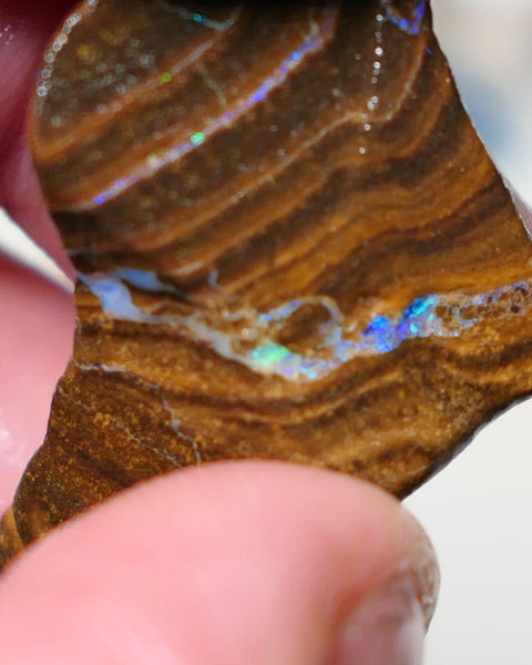 Queensland Boulder Matrix opal 30cts rough Winton Nice Sized With Bars to expose & explore 35x20x8mm 0631