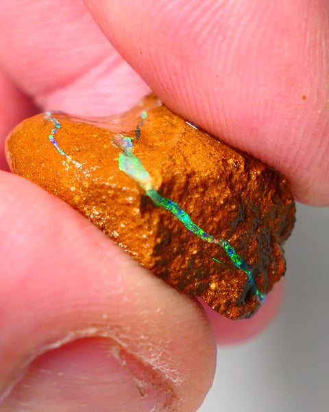 Queensland Boulder Matrix opal 20cts rough Winton Amazing very Unique & Bright colour in veins  18x15x10mm WAE11