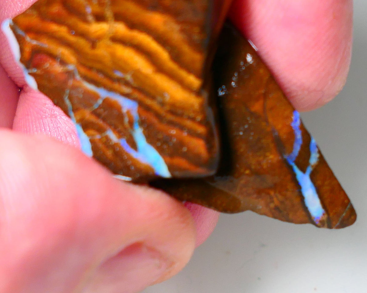 Queensland Boulder Matrix opal 40cts rough Pair Winton Nice Sized With Bars to expose & explore 30x20x8mm &  25x20x10mm WAE12