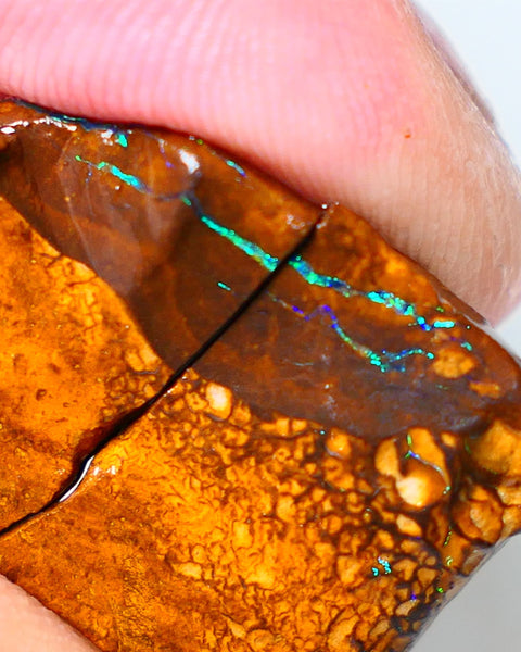 Queensland Boulder Matrix opal 74cts rough Winton  Bright colours in veins 20x15x15mm & 20x15x13mm WAE13