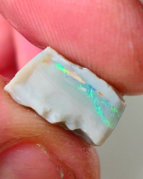 Lightning Ridge Rough Opal 9.75cts Gem Select Dark Base Seam Loaded with Multifires & some Red/orange in the bar 15x13x7mm WAE20