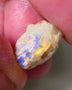Lightning Ridge Rough Opal 7.5cts Crystal Pea Knobby showing nice  Bright Multicolours 15x10x9mm WAE16
