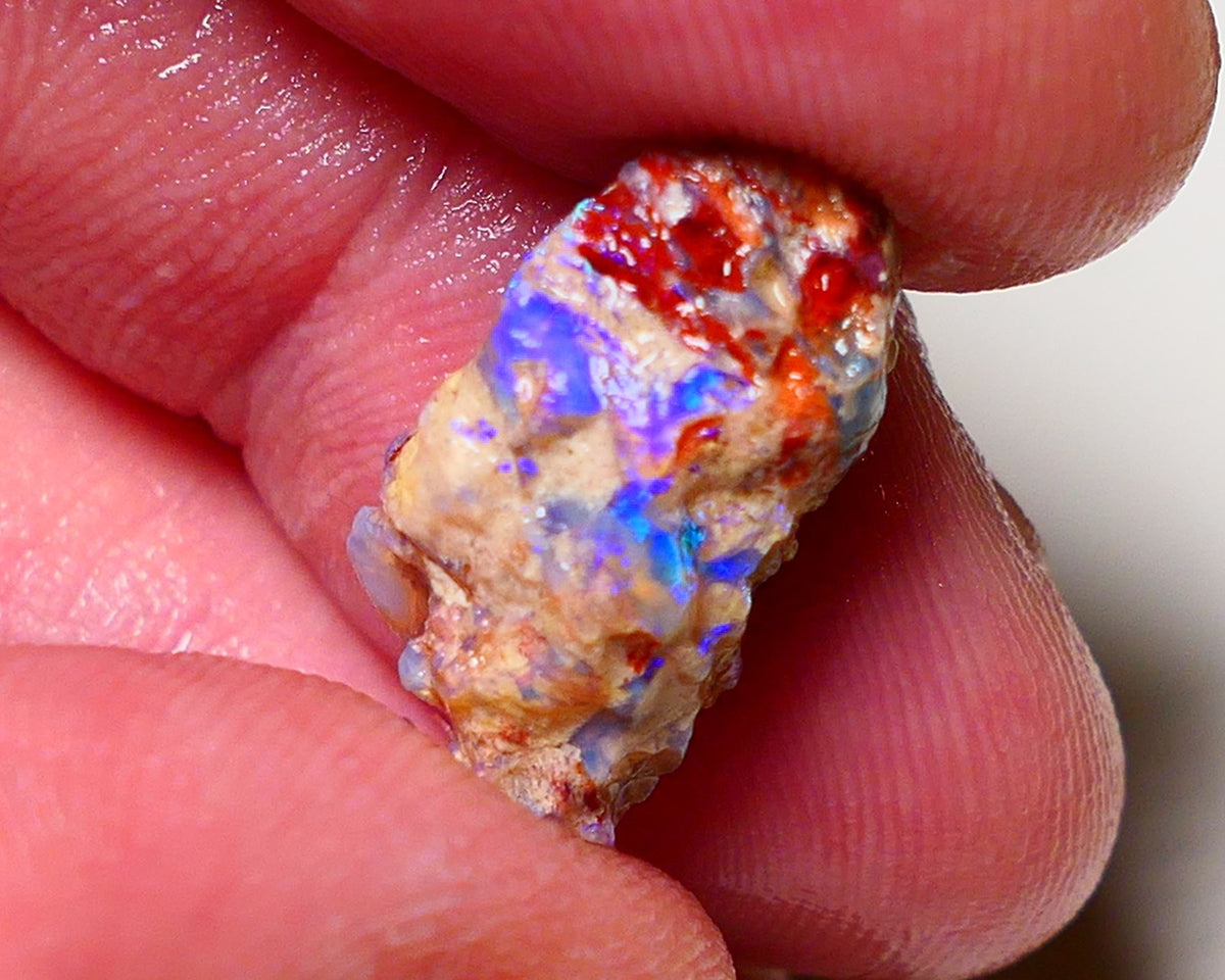 Lightning Ridge Rough Opal 7.25cts Crystal Pea Knobby formation showing nice  Bright Blue colours 20x10x9mm 0709