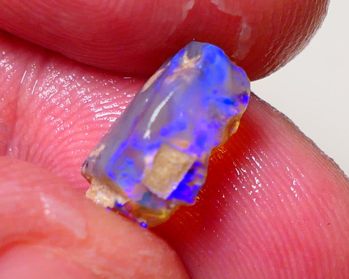 Lightning Ridge Opal Rough Small Opalised Wood Fossil 2.3cts Bright Blue Colours 13x7x5mm 0708