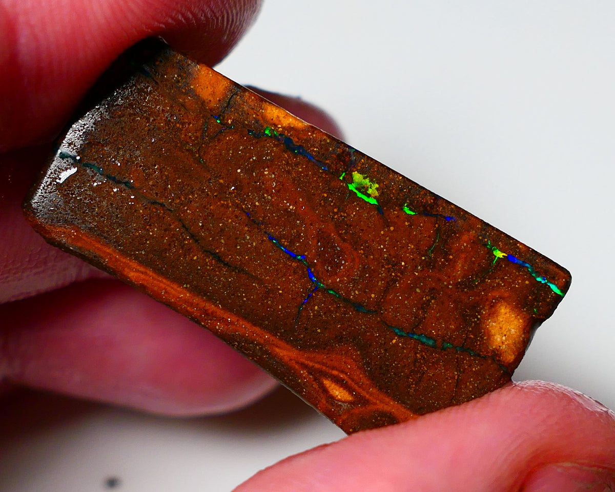 Queensland Boulder Matrix opal 31cts rough Winton  Bright colours in veins 38x18x5mm 0720