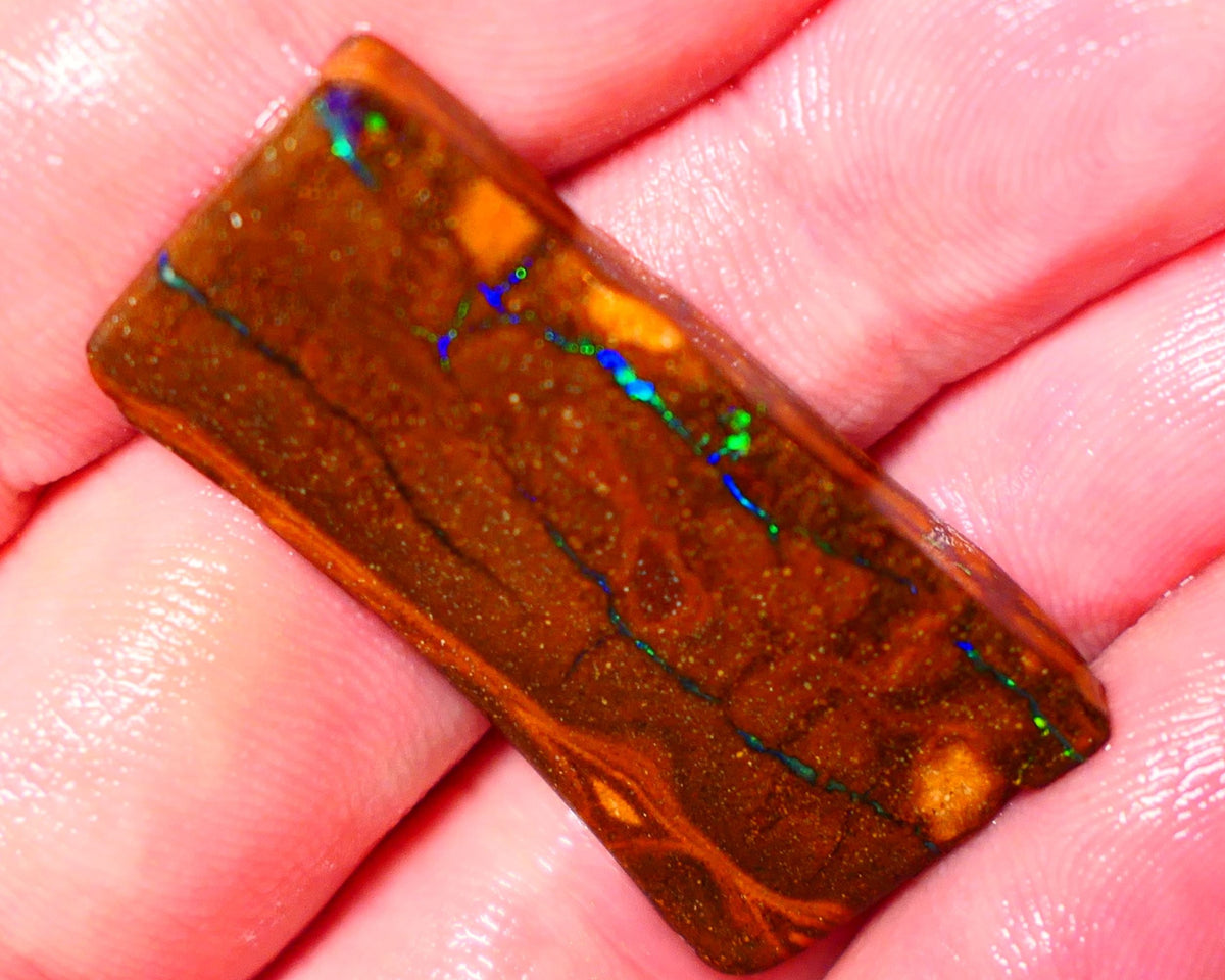 Queensland Boulder Matrix opal 31cts rough Winton  Bright colours in veins 38x18x5mm 0720