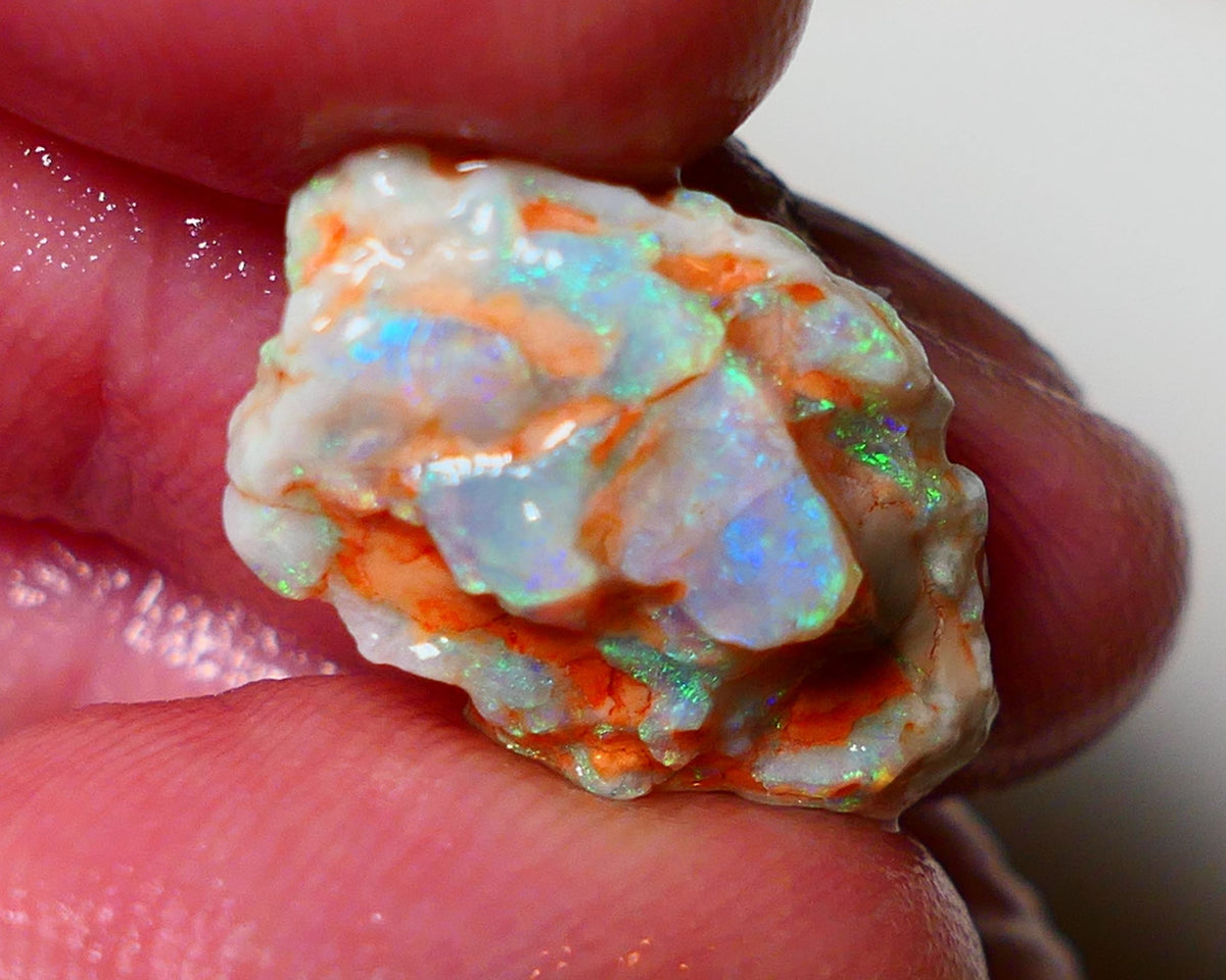 Lightning Ridge Rough Opal 8.25cts Crystal Untouched Knobby showing nice  Bright Multicolours 20x13x6mm 0805