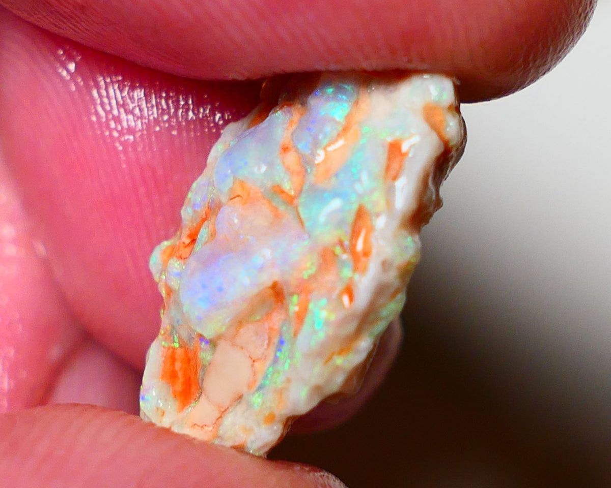 Lightning Ridge Rough Opal 8.25cts Crystal Untouched Knobby showing nice  Bright Multicolours 20x13x6mm 0805