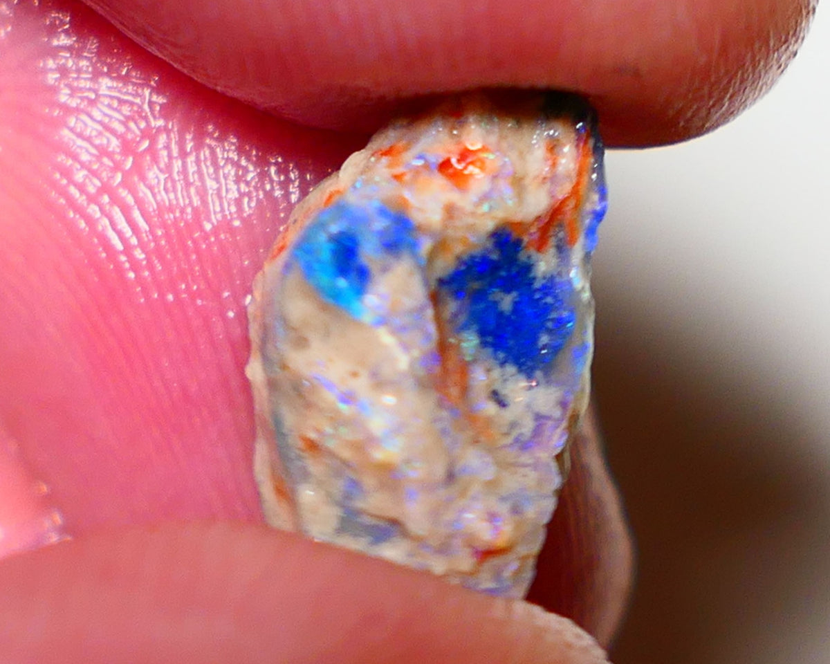Lightning Ridge Rough Opal 4.4cts Dark Crystal Base Pea Knobby showing nice  Bright colours 15x9x8mm 0812 AUCTION