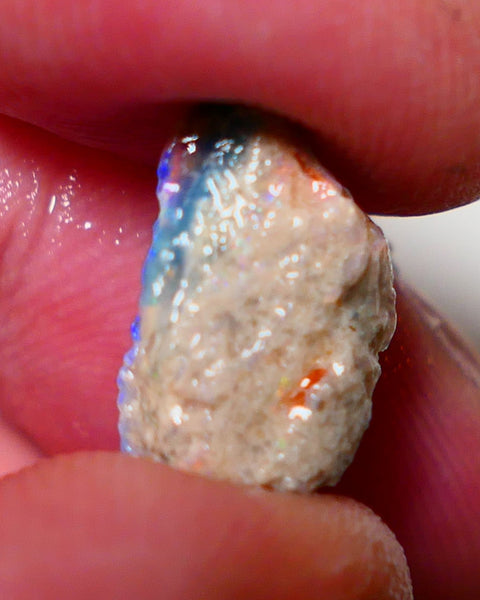 Lightning Ridge Rough Opal 4.4cts Dark Crystal Base Pea Knobby showing nice  Bright colours 15x9x8mm 0812 AUCTION