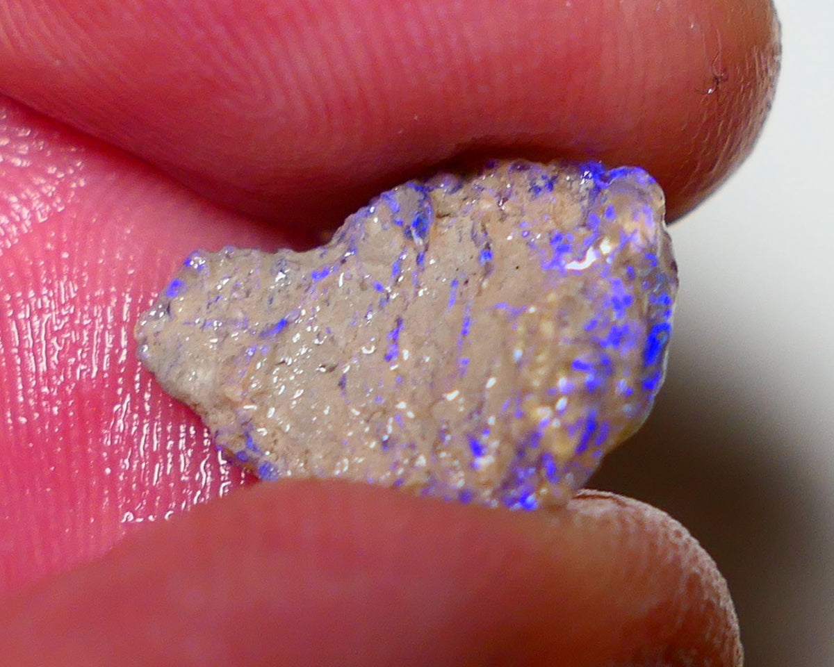 Lightning Ridge Rough Opal 3.55cts Dark Crystal Base Pea Knobby showing nice Bright colours 15x12x4mm 0814 AUCTION