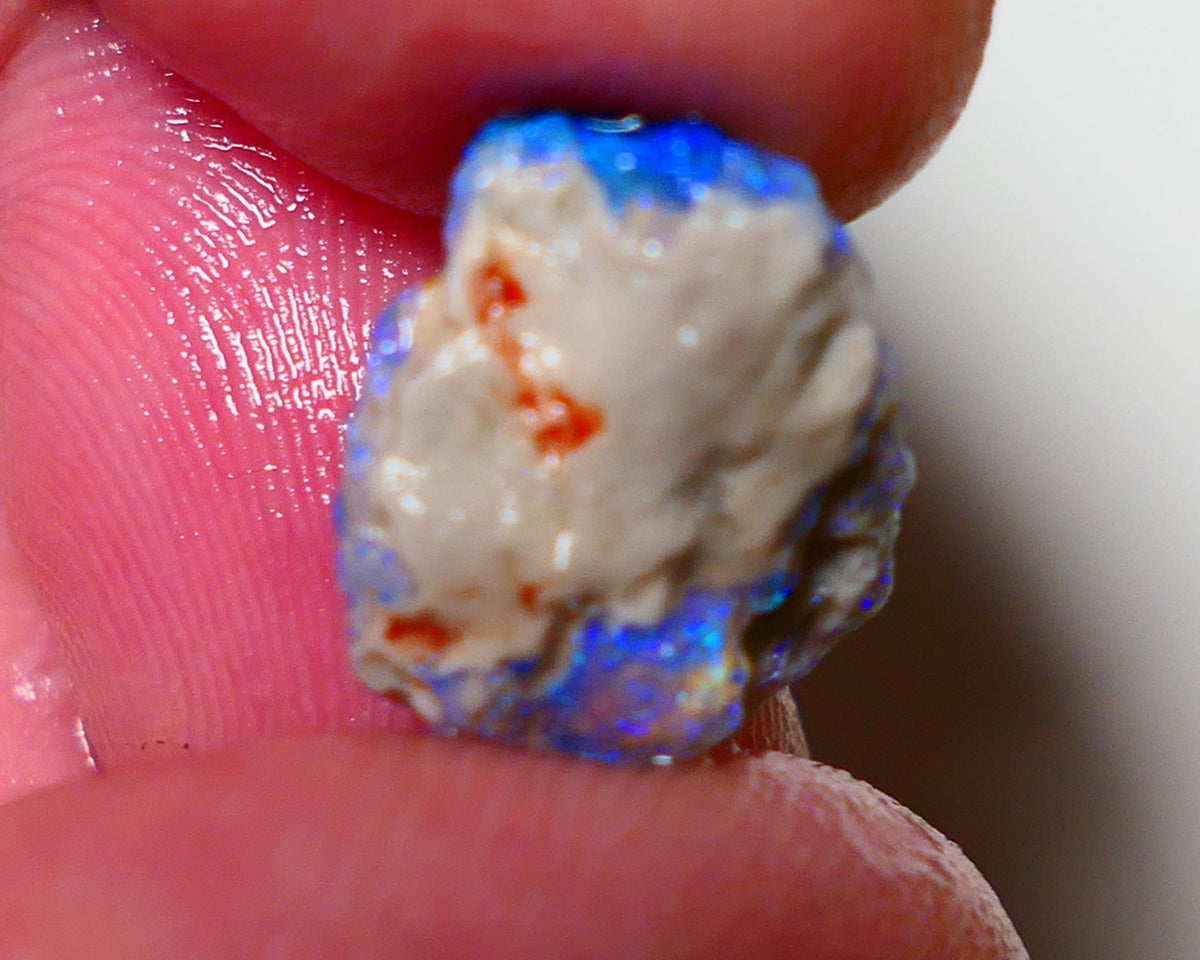 Lightning Ridge Rough Opal 3.5cts Dark Crystal Base Pea Knobby showing nice Bright colours 13x11x4mm 0815 AUCTION