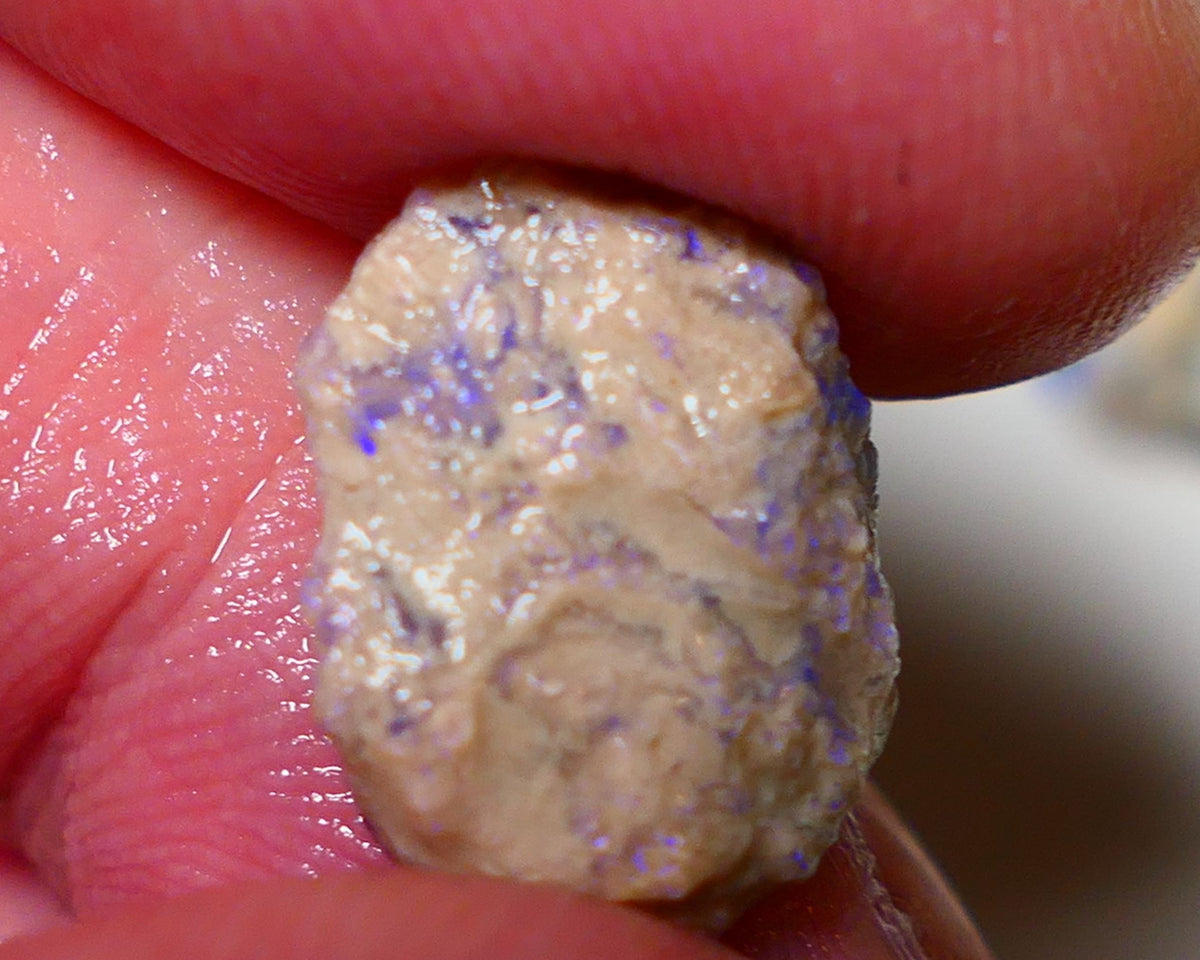 Lightning Ridge Rough Opal 4.75cts Crystal Witches hat Knobby showing nice Bright Multicolours 15x12x5mm 0818 AUCTION